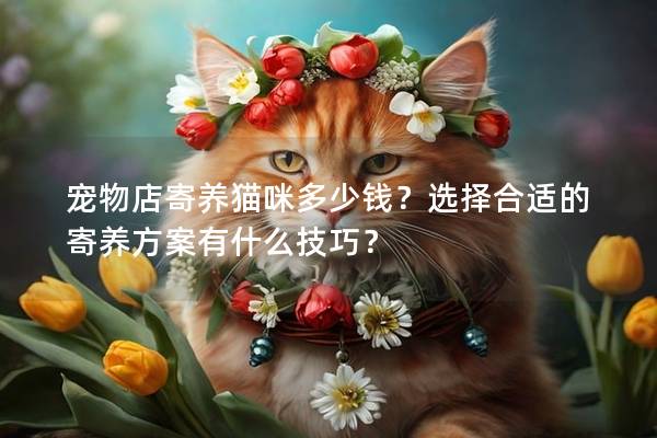 宠物店寄养猫咪多少钱？选择合适的寄养方案有什么技巧？