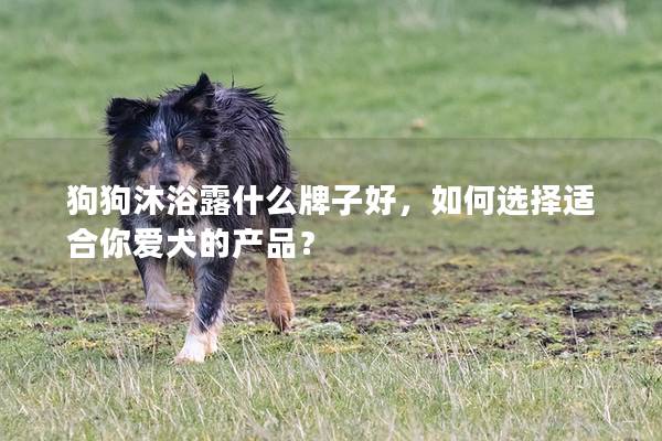 狗狗沐浴露什么牌子好，如何选择适合你爱犬的产品？