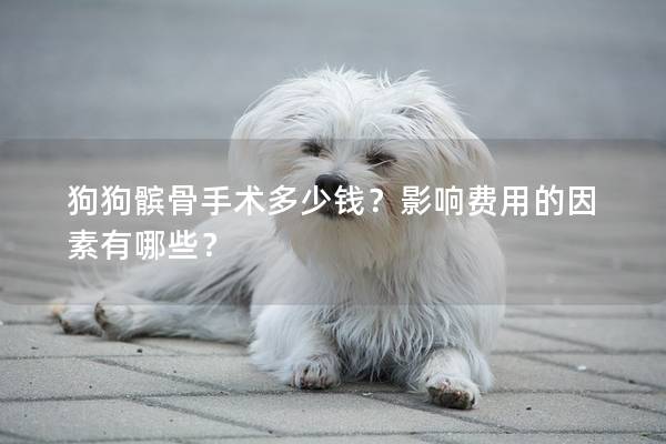 狗狗髌骨手术多少钱？影响费用的因素有哪些？