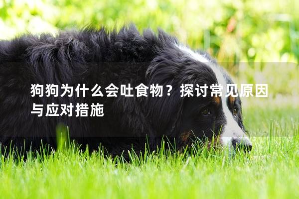 狗狗为什么会吐食物？探讨常见原因与应对措施