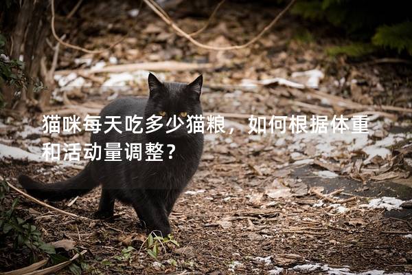 猫咪每天吃多少猫粮，如何根据体重和活动量调整？