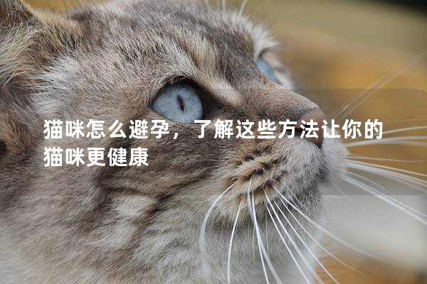 猫咪怎么避孕，了解这些方法让你的猫咪更健康