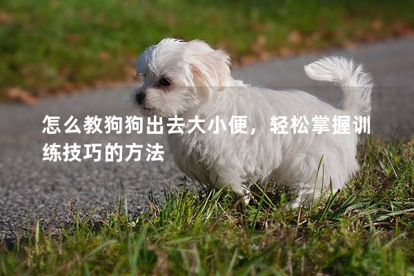 怎么教狗狗出去大小便，轻松掌握训练技巧的方法