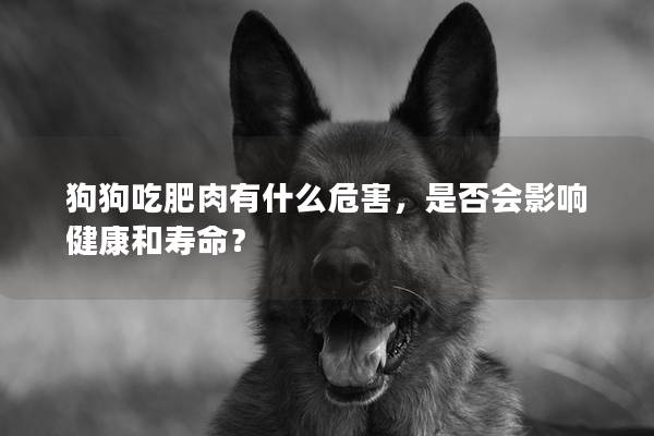 狗狗吃肥肉有什么危害，是否会影响健康和寿命？