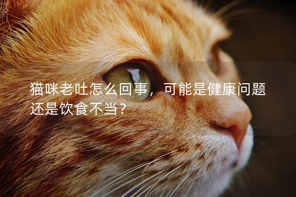 猫咪老吐怎么回事，可能是健康问题还是饮食不当？