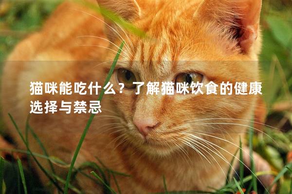 猫咪能吃什么？了解猫咪饮食的健康选择与禁忌