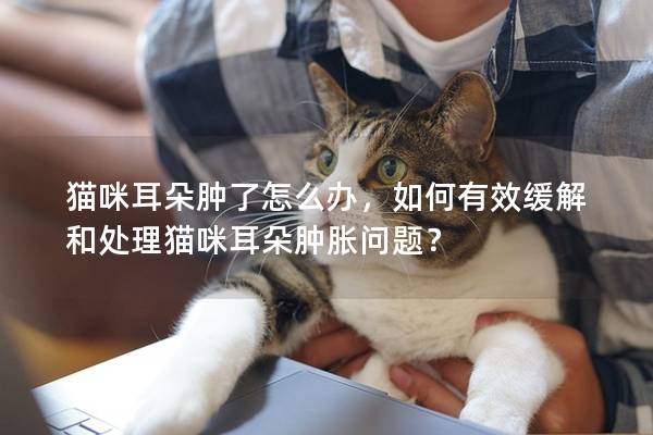 猫咪耳朵肿了怎么办，如何有效缓解和处理猫咪耳朵肿胀问题？