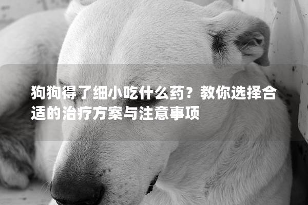 狗狗得了细小吃什么药？教你选择合适的治疗方案与注意事项