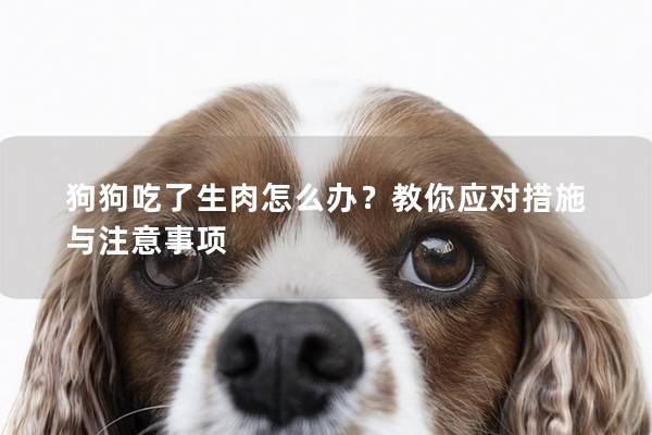 狗狗吃了生肉怎么办？教你应对措施与注意事项