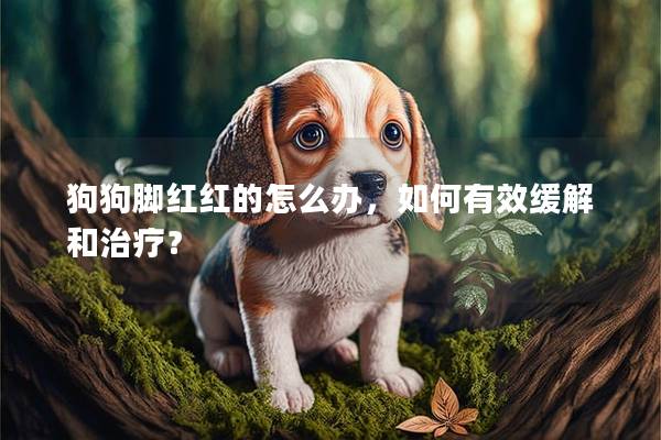 狗狗脚红红的怎么办，如何有效缓解和治疗？