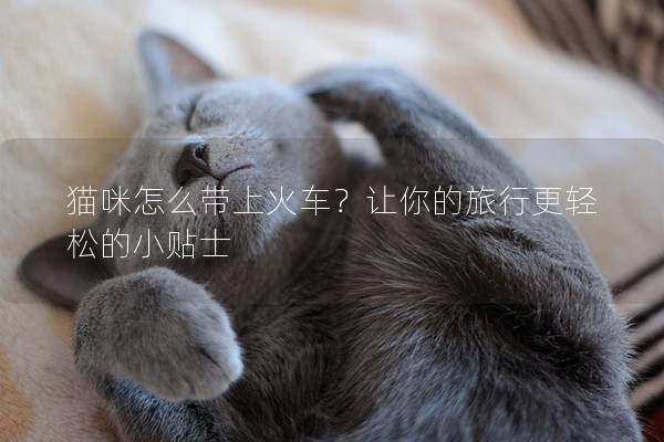 猫咪怎么带上火车？让你的旅行更轻松的小贴士