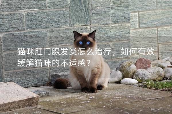 猫咪肛门腺发炎怎么治疗，如何有效缓解猫咪的不适感？