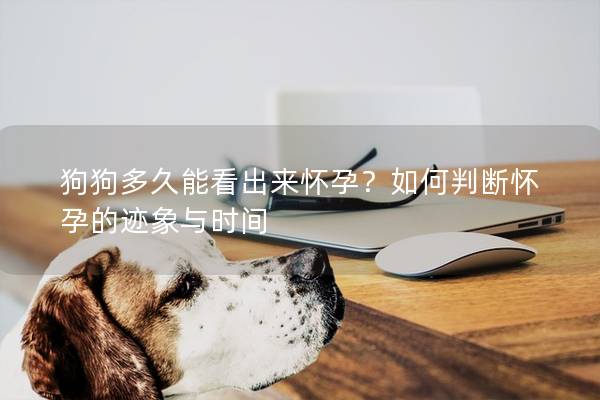 狗狗多久能看出来怀孕？如何判断怀孕的迹象与时间