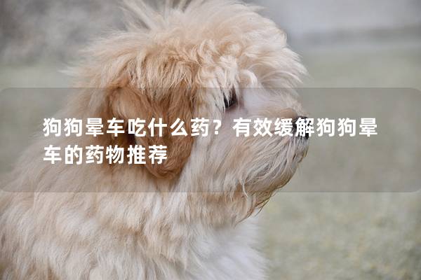 狗狗晕车吃什么药？有效缓解狗狗晕车的药物推荐