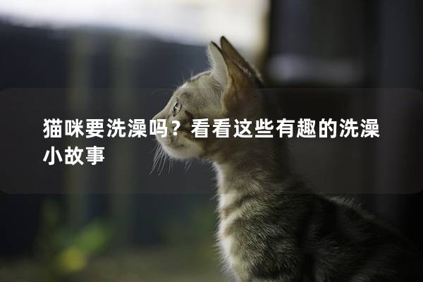 猫咪要洗澡吗？看看这些有趣的洗澡小故事