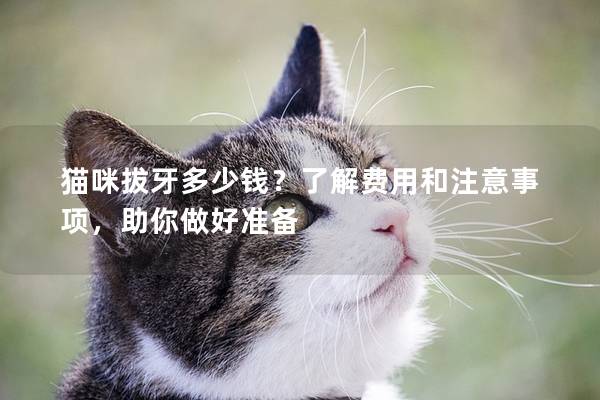 猫咪拔牙多少钱？了解费用和注意事项，助你做好准备