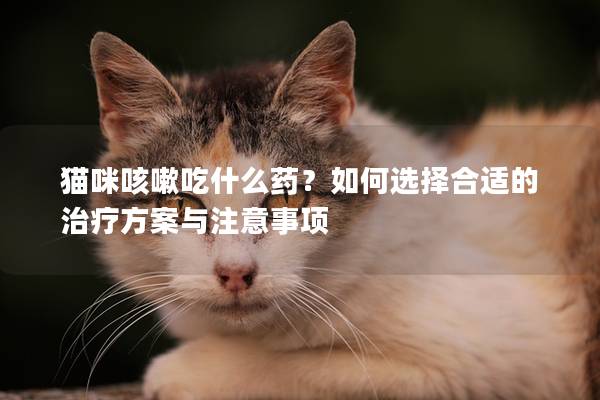 猫咪咳嗽吃什么药？如何选择合适的治疗方案与注意事项