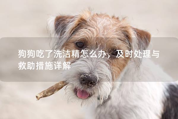 狗狗吃了洗洁精怎么办，及时处理与救助措施详解