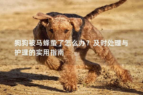 狗狗被马蜂蛰了怎么办？及时处理与护理的实用指南