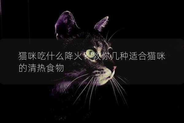 猫咪吃什么降火？教你几种适合猫咪的清热食物