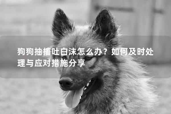 狗狗抽搐吐白沫怎么办？如何及时处理与应对措施分享