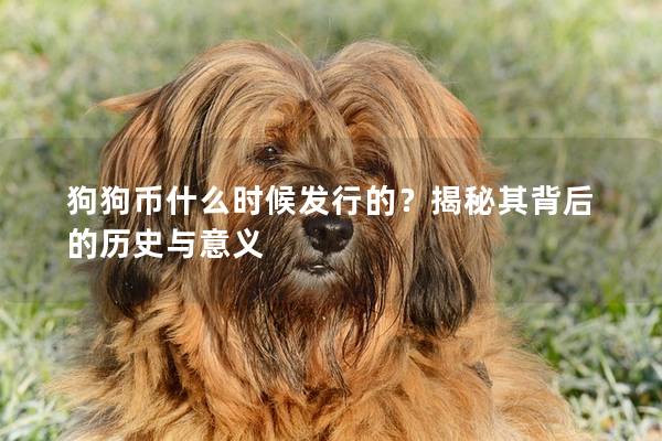 狗狗币什么时候发行的？揭秘其背后的历史与意义