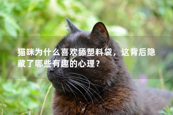 猫咪为什么喜欢舔塑料袋，这背后隐藏了哪些有趣的心理？