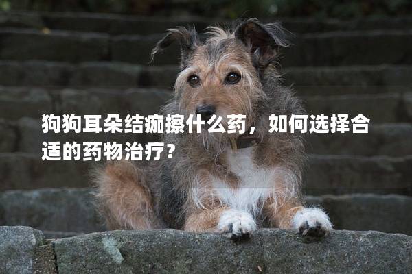 狗狗耳朵结痂擦什么药，如何选择合适的药物治疗？