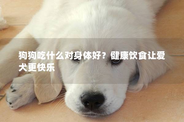 狗狗吃什么对身体好？健康饮食让爱犬更快乐