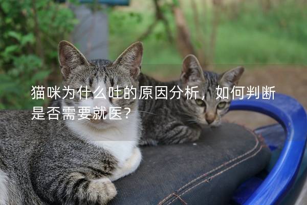 猫咪为什么吐的原因分析，如何判断是否需要就医？