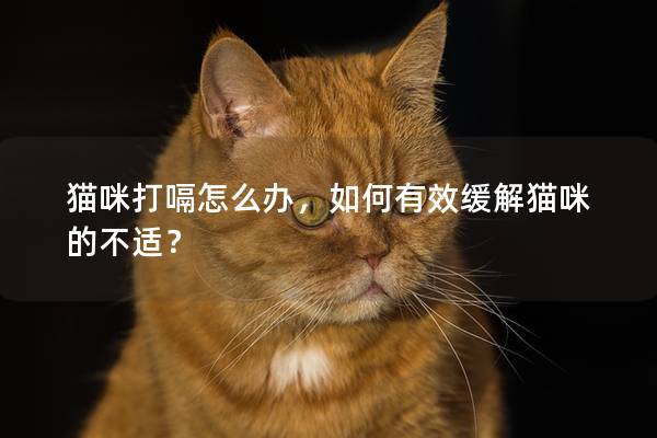 猫咪打嗝怎么办，如何有效缓解猫咪的不适？