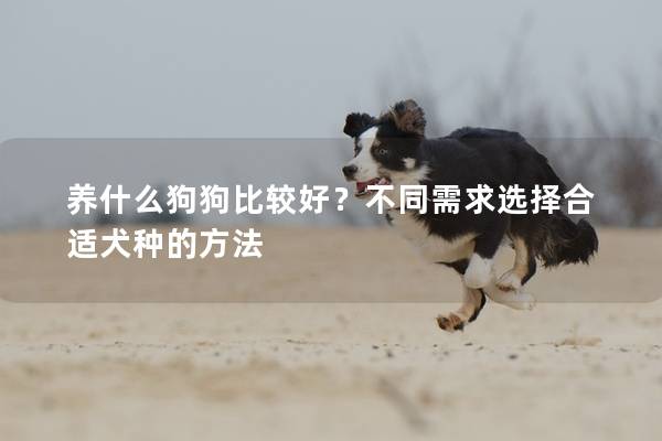 养什么狗狗比较好？不同需求选择合适犬种的方法