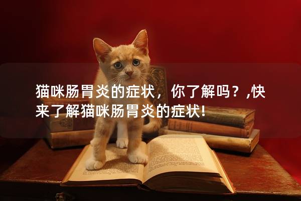 猫咪肠胃炎的症状，你了解吗？,快来了解猫咪肠胃炎的症状!