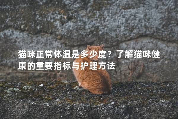 猫咪正常体温是多少度？了解猫咪健康的重要指标与护理方法