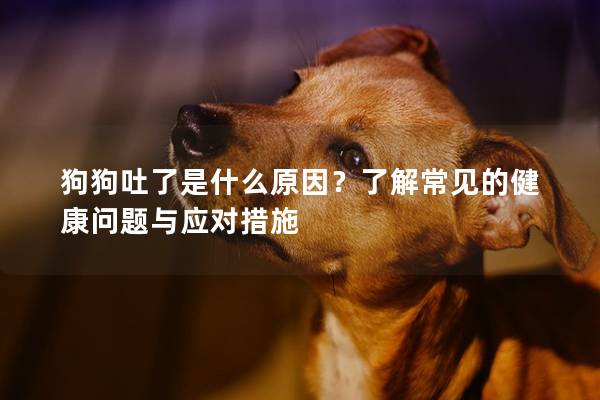 狗狗吐了是什么原因？了解常见的健康问题与应对措施