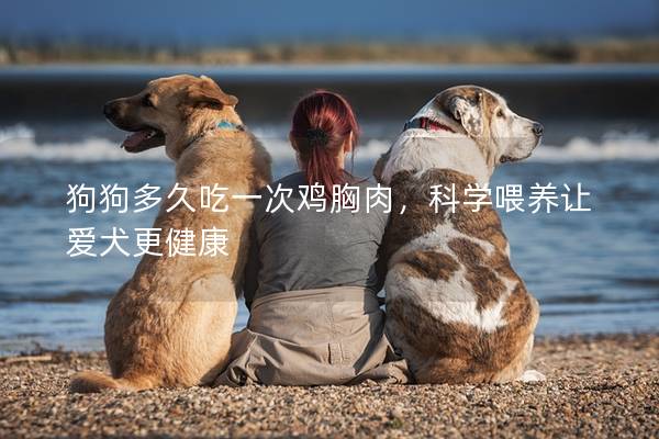 狗狗多久吃一次鸡胸肉，科学喂养让爱犬更健康