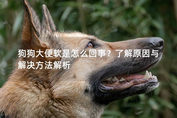 狗狗大便软是怎么回事？了解原因与解决方法解析