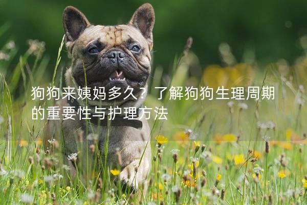 狗狗来姨妈多久？了解狗狗生理周期的重要性与护理方法