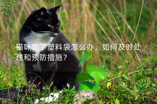 猫咪吃了塑料袋怎么办，如何及时处理和预防措施？