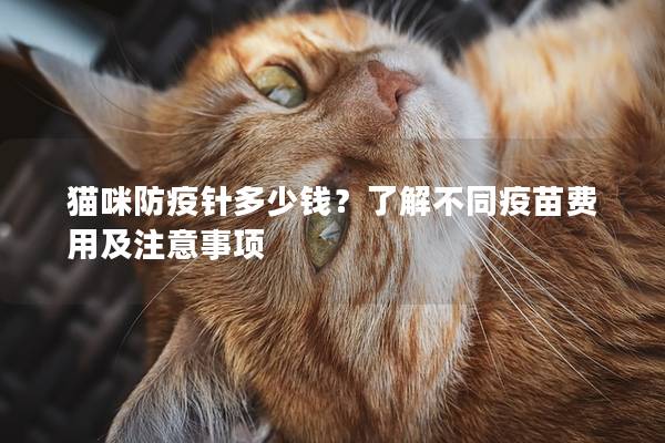 猫咪防疫针多少钱？了解不同疫苗费用及注意事项