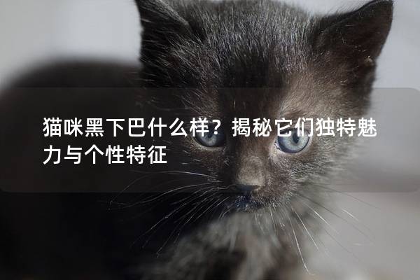 猫咪黑下巴什么样？揭秘它们独特魅力与个性特征