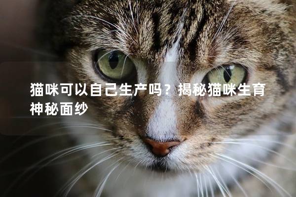 猫咪可以自己生产吗？揭秘猫咪生育神秘面纱