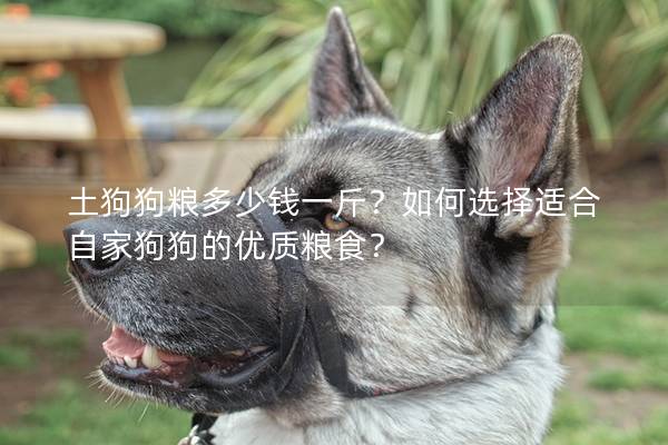 土狗狗粮多少钱一斤？如何选择适合自家狗狗的优质粮食？