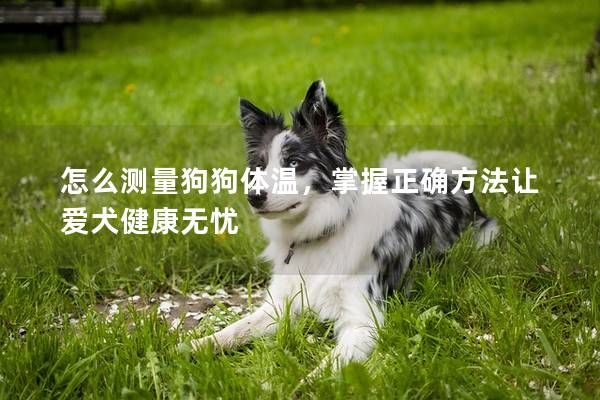 怎么测量狗狗体温，掌握正确方法让爱犬健康无忧