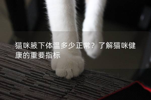 猫咪腋下体温多少正常？了解猫咪健康的重要指标