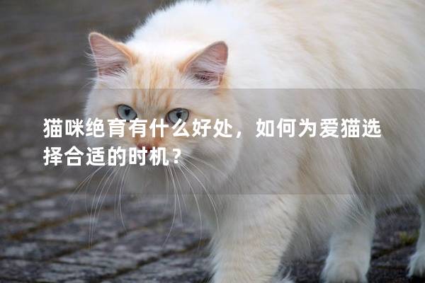 猫咪绝育有什么好处，如何为爱猫选择合适的时机？