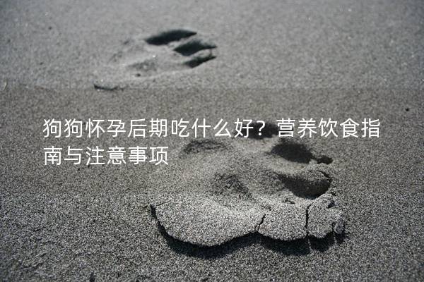 狗狗怀孕后期吃什么好？营养饮食指南与注意事项