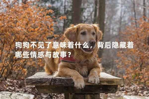 狗狗不见了意味着什么，背后隐藏着哪些情感与故事？