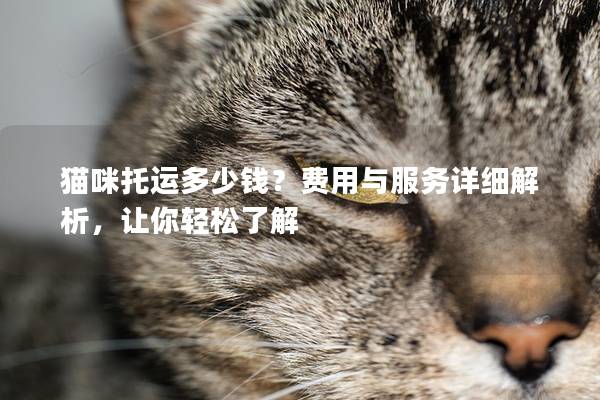 猫咪托运多少钱？费用与服务详细解析，让你轻松了解