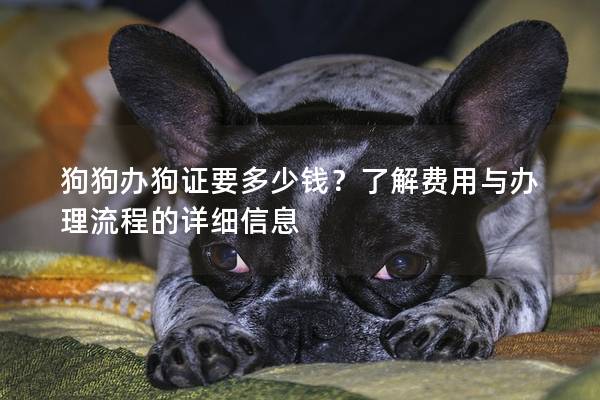 狗狗办狗证要多少钱？了解费用与办理流程的详细信息